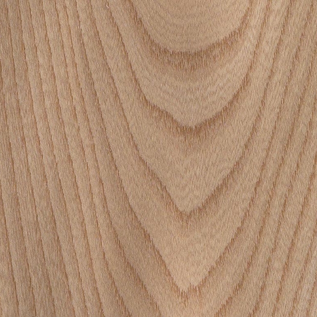 Elm